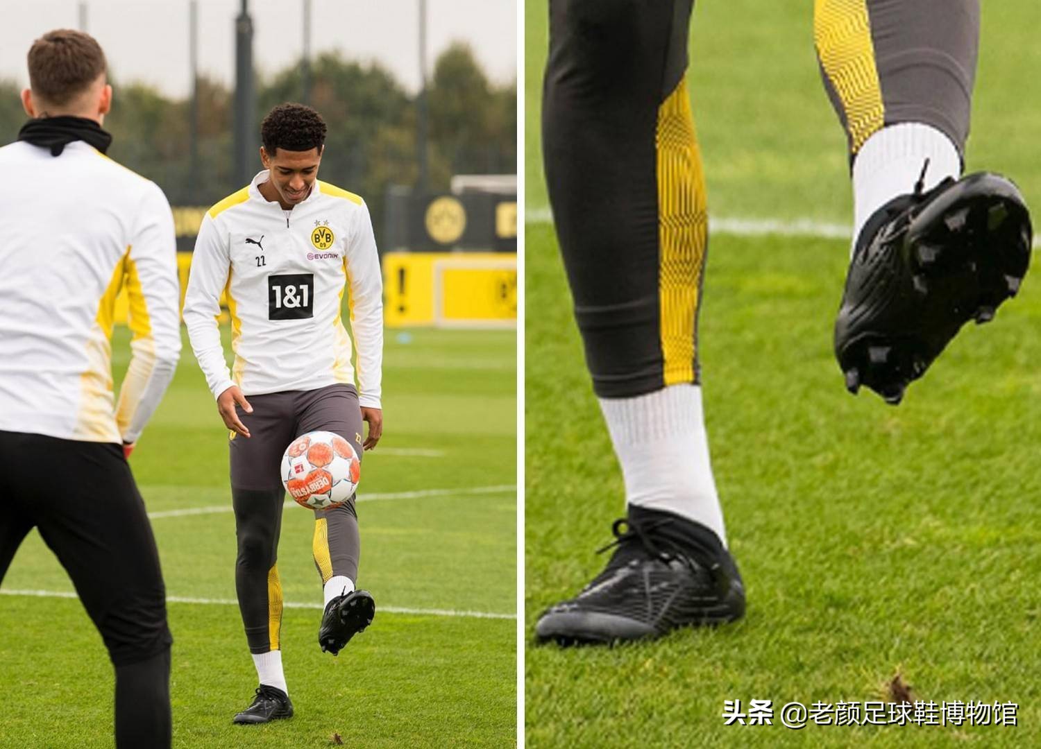 育背后的真 育背后的真