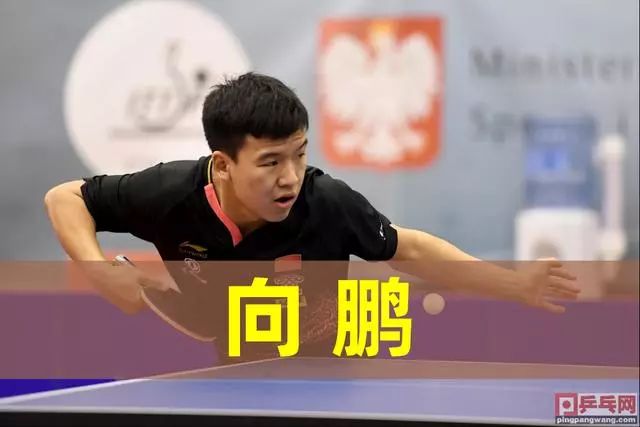 持续至赛季 持续至赛季