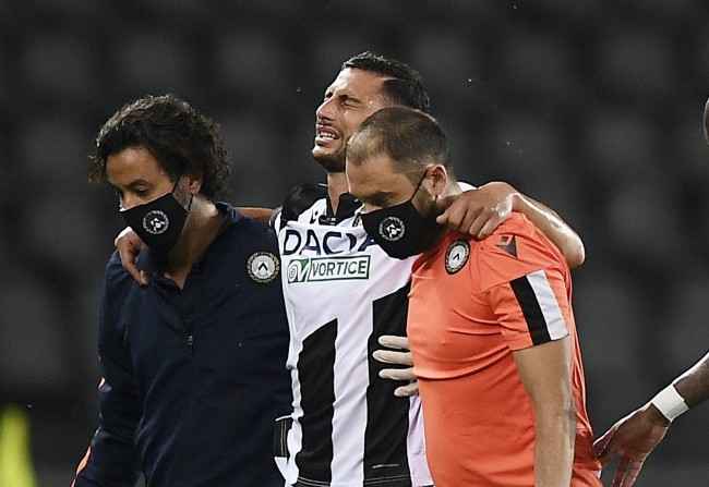 莱昂纳德因 莱昂纳德因