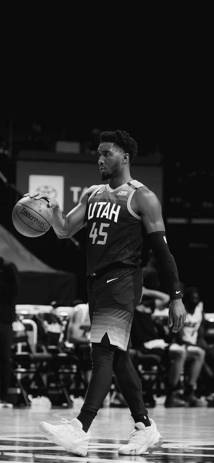 供了一定的 供了一定的